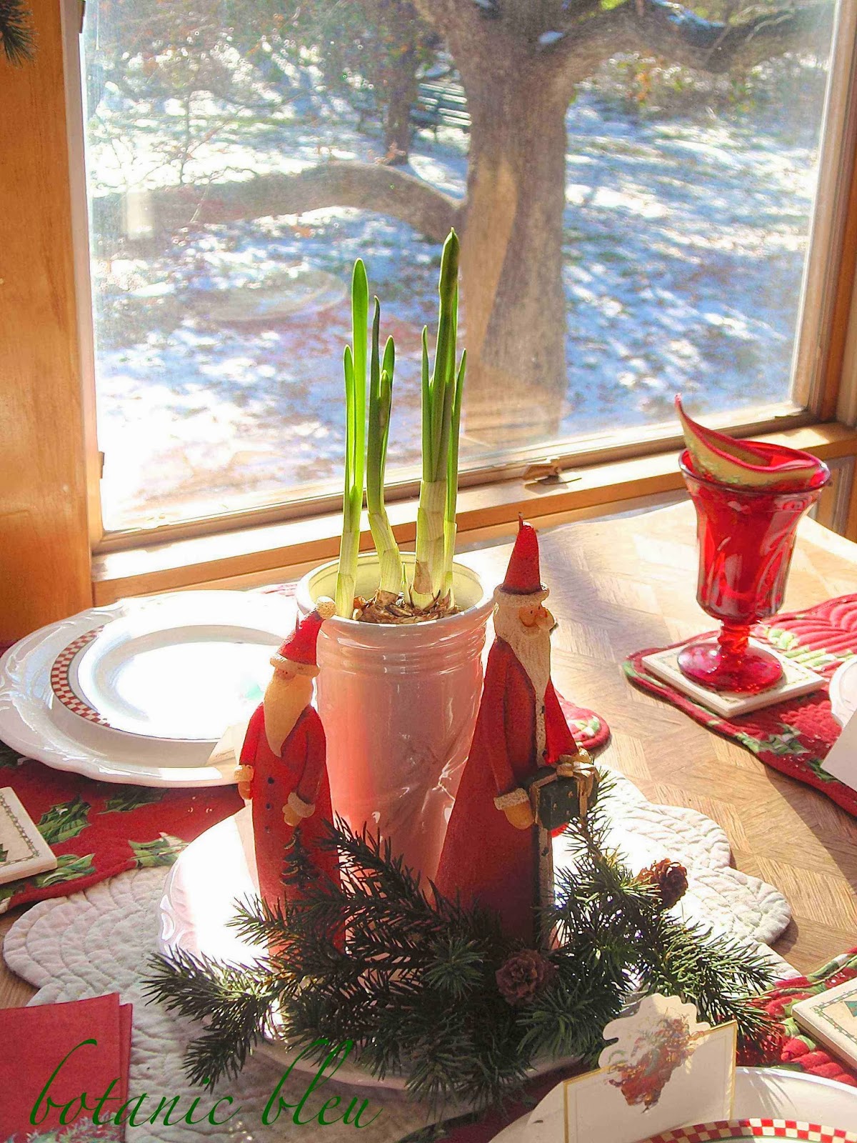 Botanic Bleu Santa Is Coming Soon...