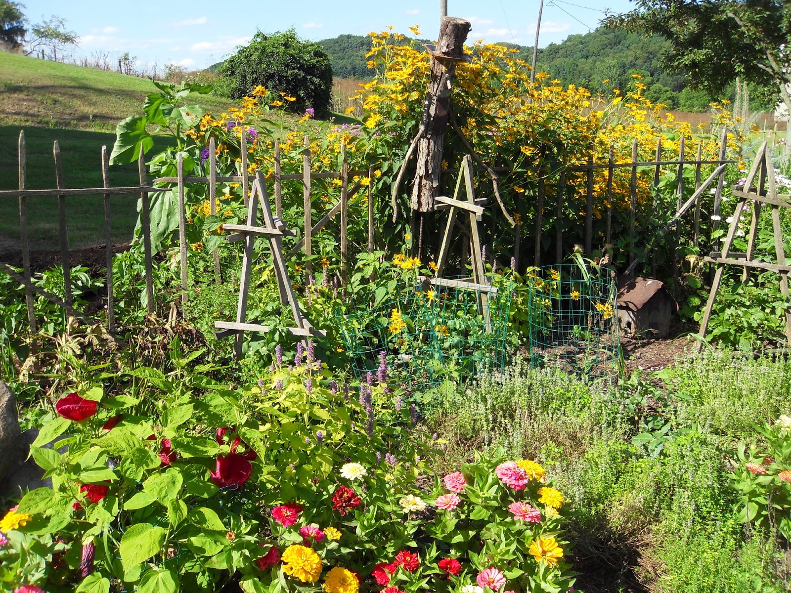 ☆Plumrun Creek☆ A Walk Around My House