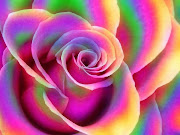 SECRETOS DE AMOR (rosae)