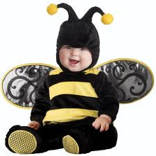 baby bee