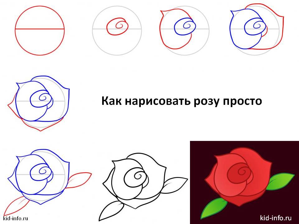 Как нарисовать розу поэтапно ребенку 8 лет Как нарисовать розу поэтапно ребенку 8 лет