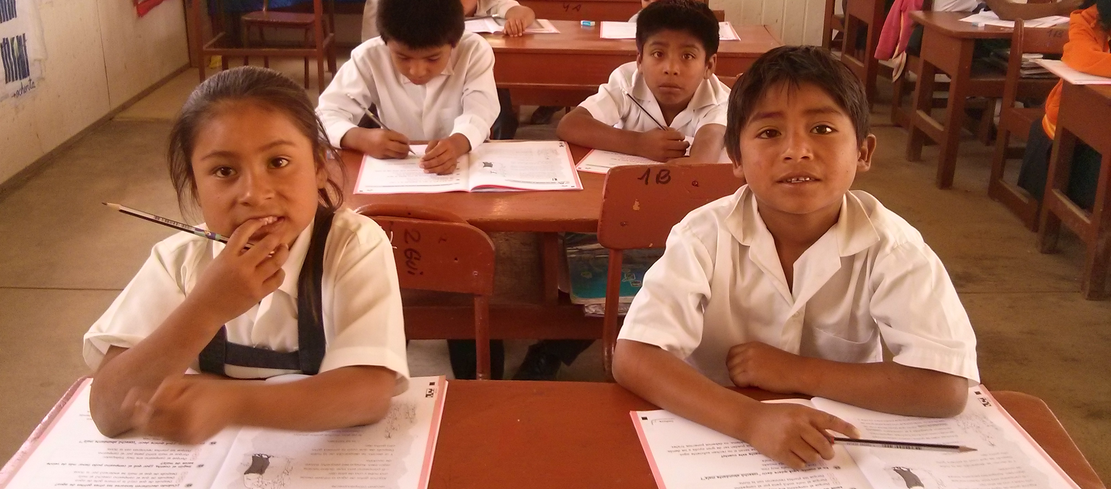 Política y Desarrollo Curricular en Perú