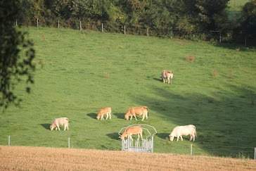 la photo du 8 septembre 2011 (1198)