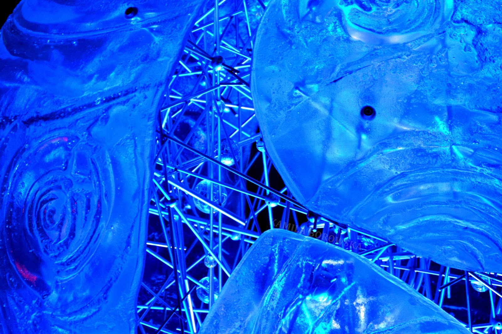 DSC_0282.JPG