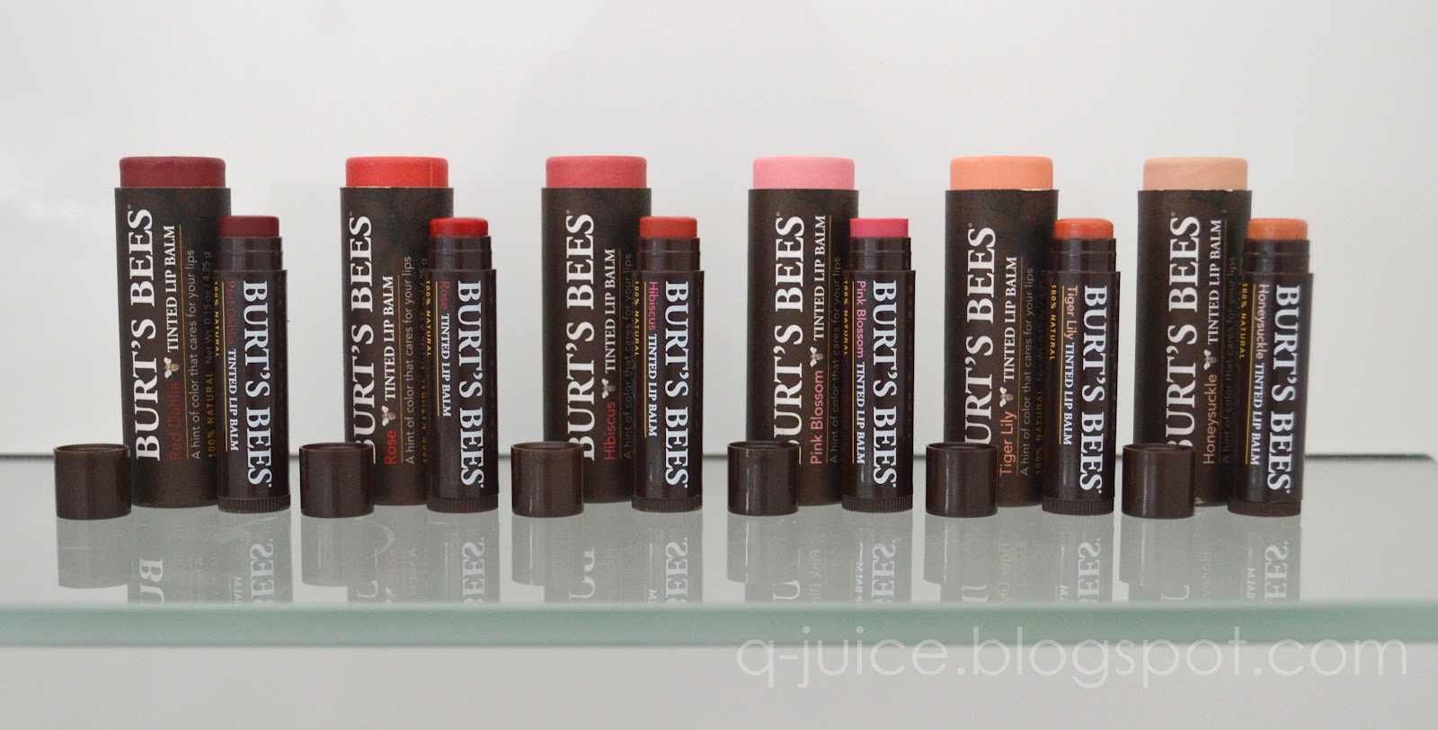 Jelly Q Burt's Bees Tinted Lip Balm Swatches
