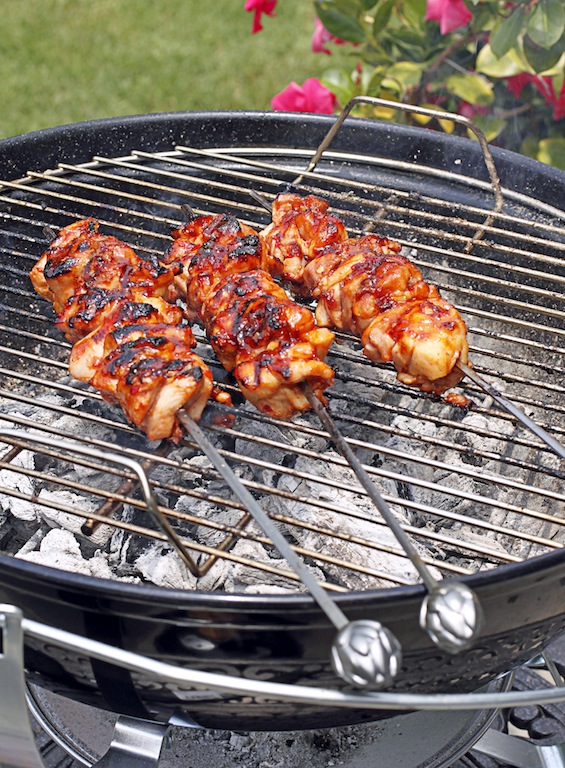 There's a Newf in My Soup! Bon Appetit Cook the Cover Sambal Chicken