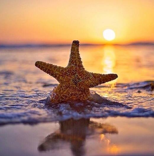 Resultado de imagen de necesito del mar porque me enseña