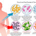 Keybiotics - Amazing Formula To Live Healthy