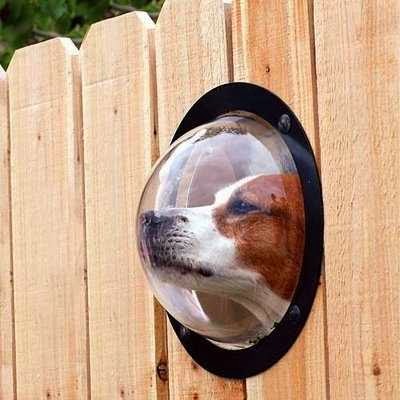 fence idea for small dog