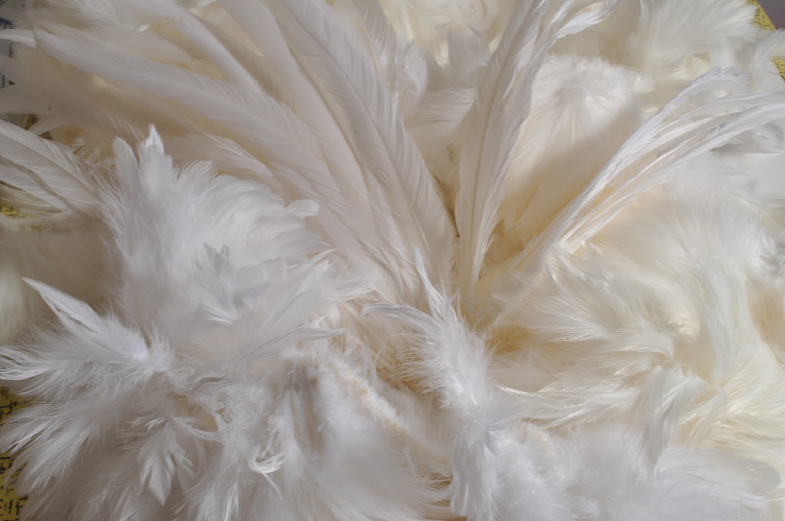 Nicole Northway How to Dye Feathers Tutorial
