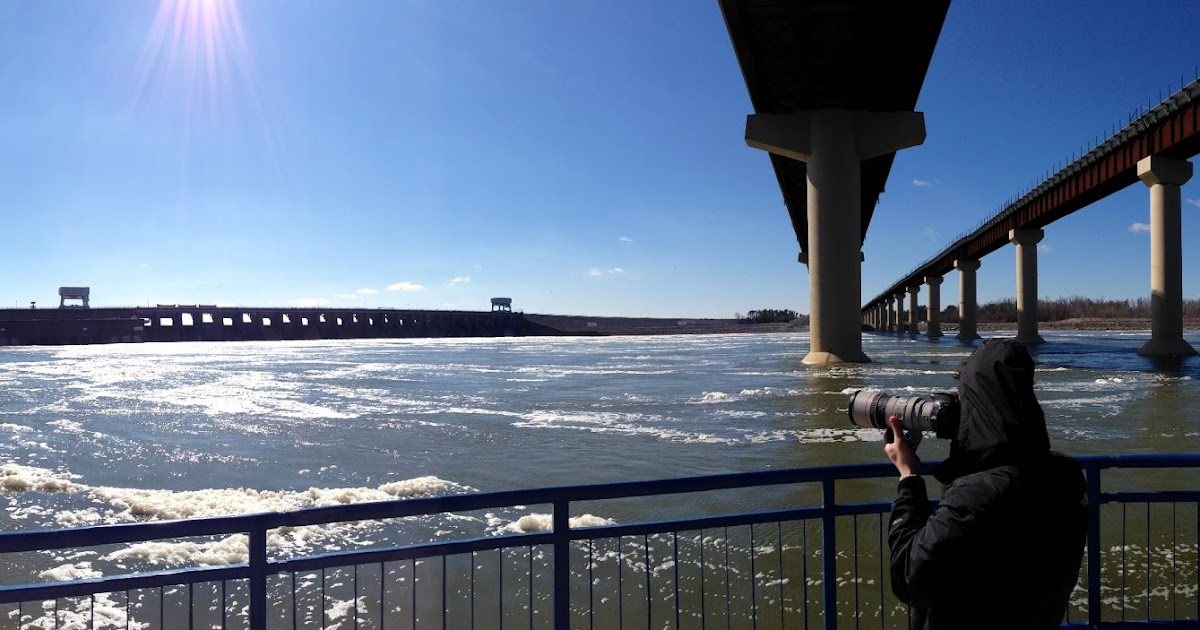 The Kentucky Nature Blog Reelfoot Lake National Wildlife Refuge and