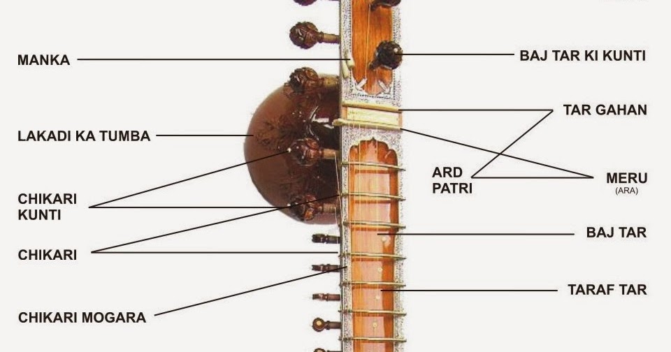 Il blog di StuPanda Il Sitar