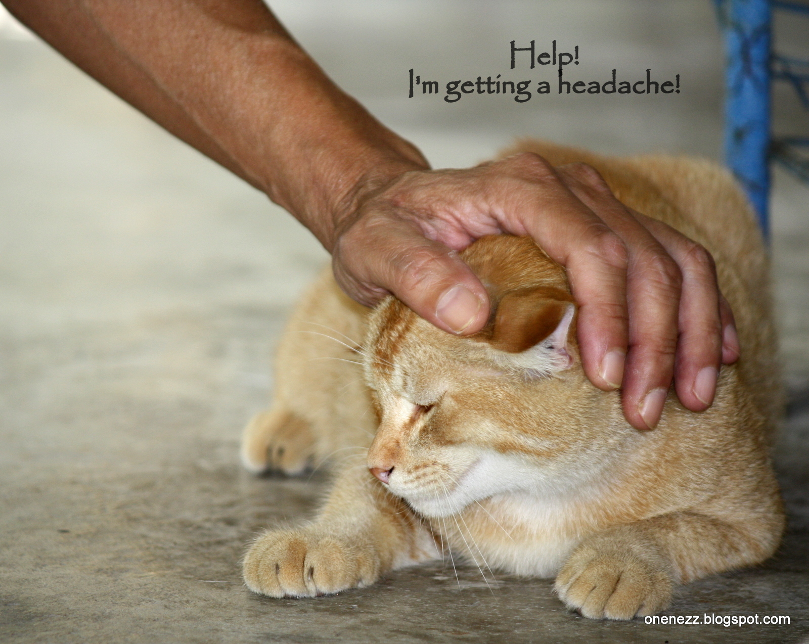 Tropical Nature Photos Words in Picture 18 Adjustment