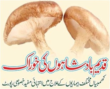 Mushroom Benefits In Urdu Mushroom Ke Faide In Hindi Khumbi Ke Fawaid