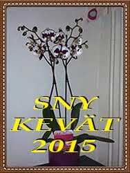 SNY Kevät 2015