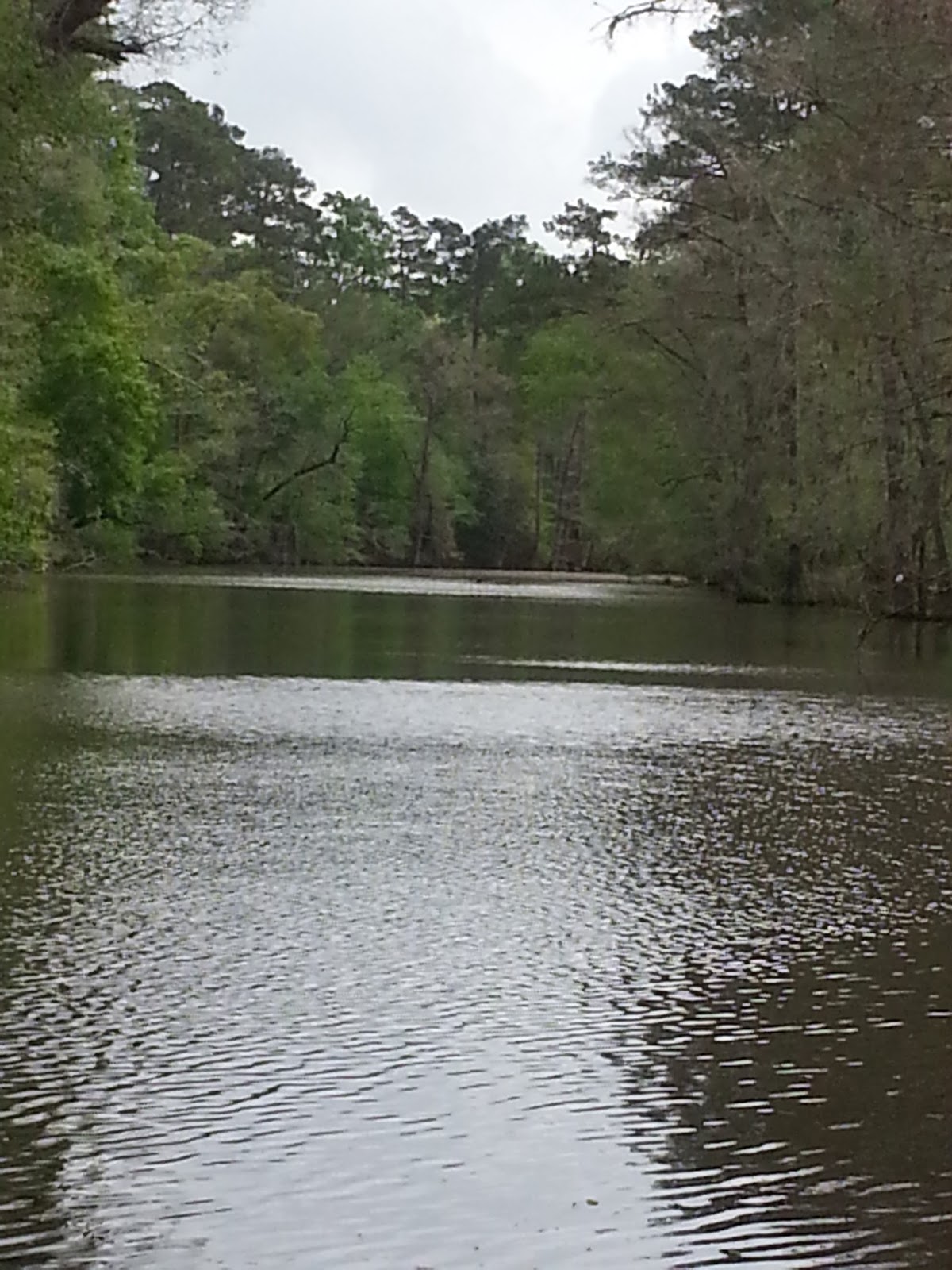 rvly ever after a real gem holbrook park sulphur louisiana lowes sulphur louisiana