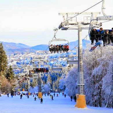 aanbieding, bus, Winterberg, wintersport voordelig