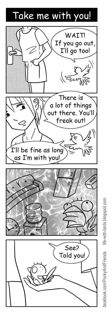 Bird webcomic about living with finches and lovebird parrots. Drawn in yonkoma manga comic strip style. It can be funny, sad or heart warming. Art by Emmil Thomas.