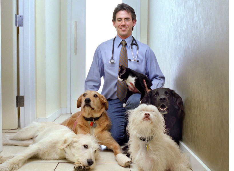 PCI Animal Health Blog Positive in the Community The Toby Project