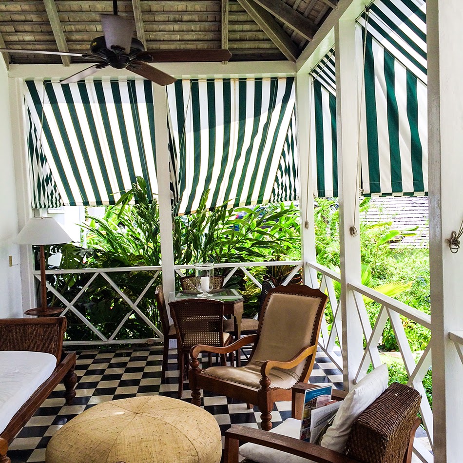 Jamaica Round Up Galla