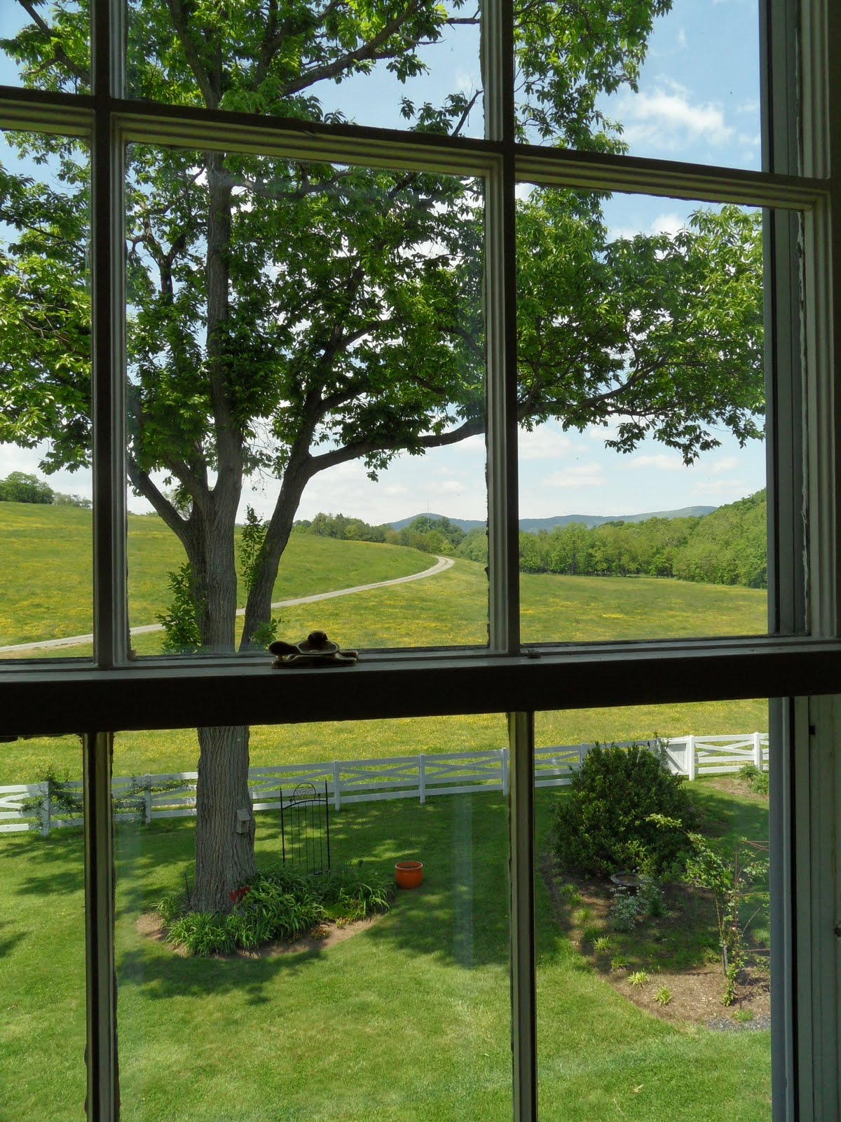 MsElenaeous Rants & Raves: Civil War Homes Tour