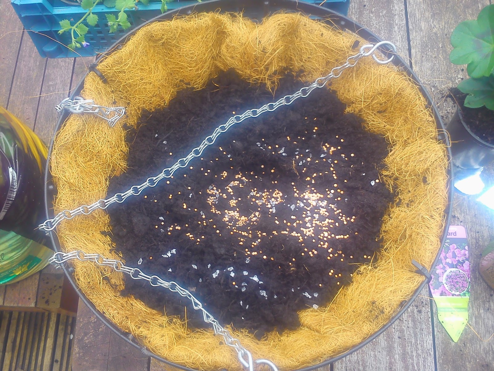 Ark Fencing and Garden Services