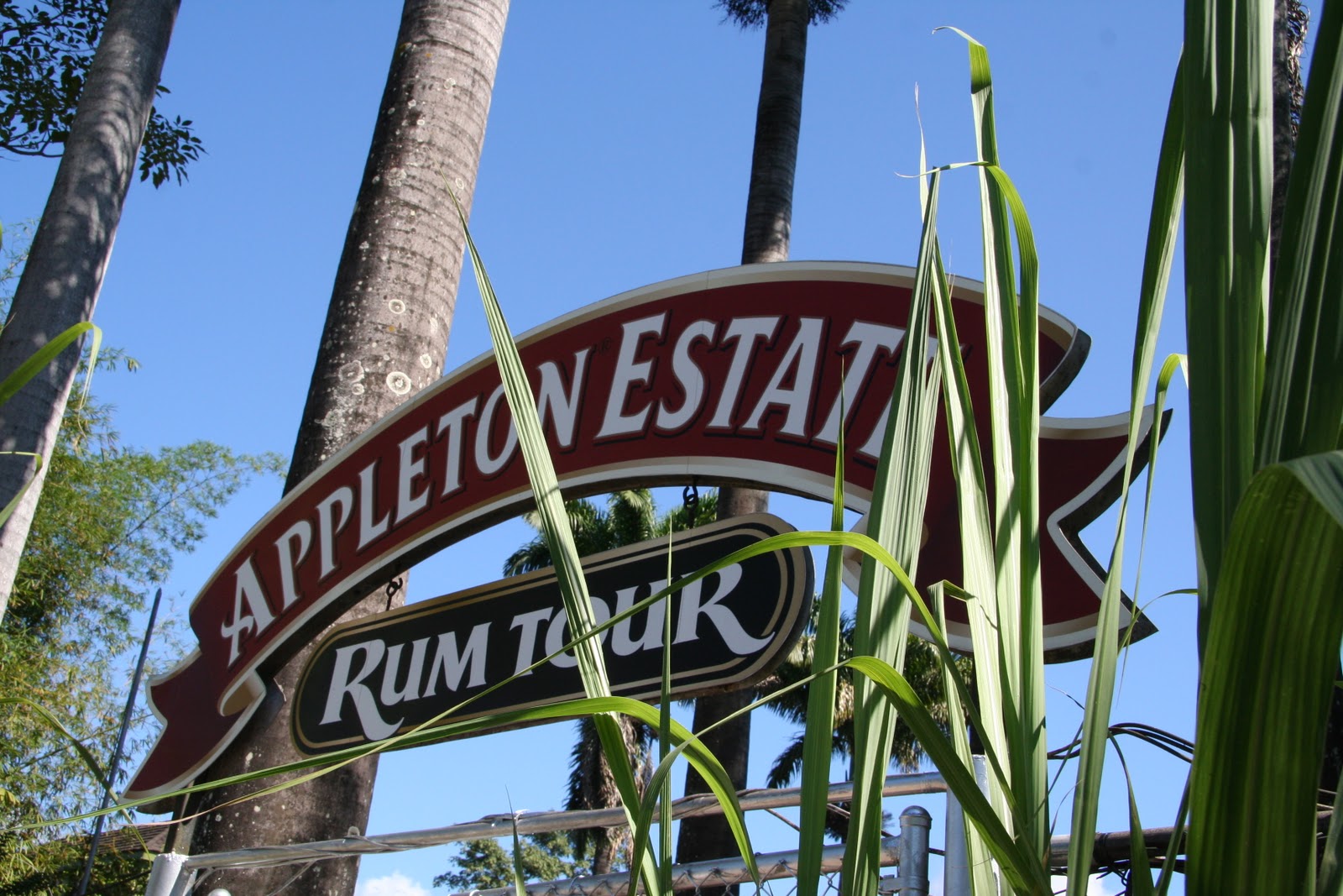 The Rum Collective A Taste of Appleton Estate with Joy Spence The