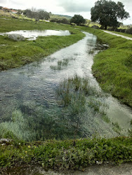 Arroyo de Las Cebras