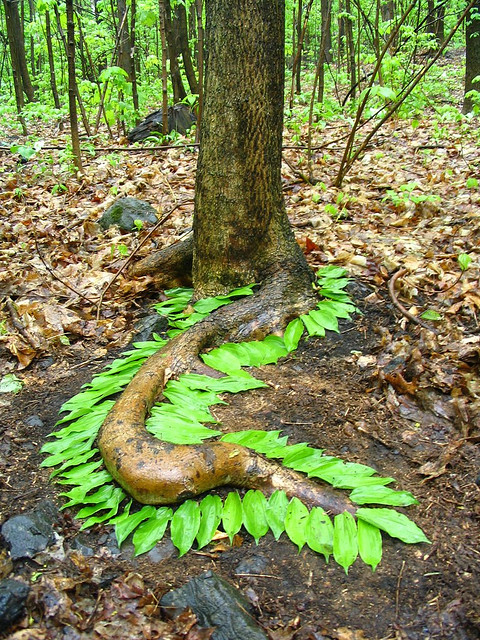 Art Projects Using Nature Art Projects Using Nature