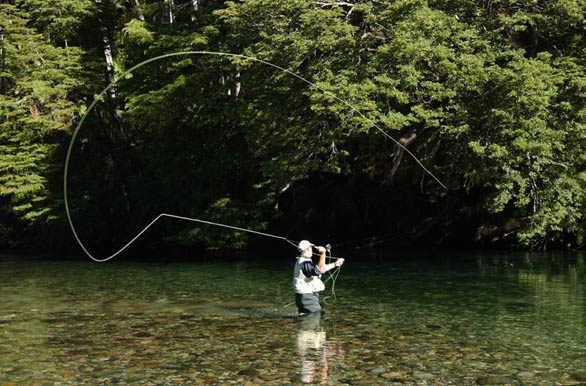 Area de Pesca: Como Pescar con Mosca, ¿es difícil aprender?