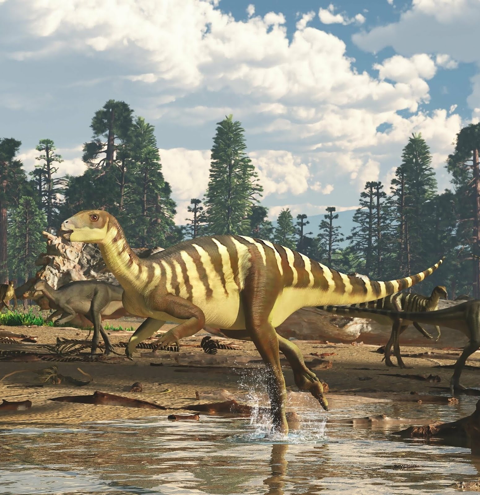 Galleonosaurus dorisae