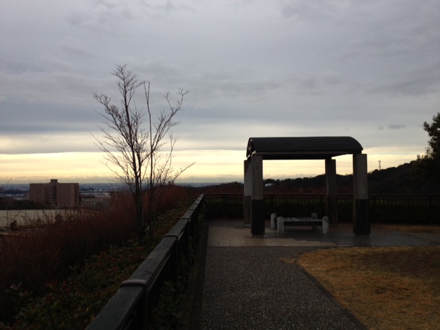 Windyroad 風の街道 Ueさんのblog カラスの寝床