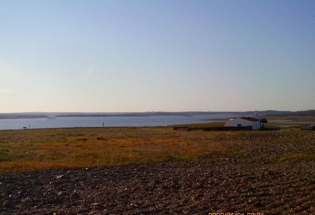 Conjunto de fotos do grande lago, em vários angulos