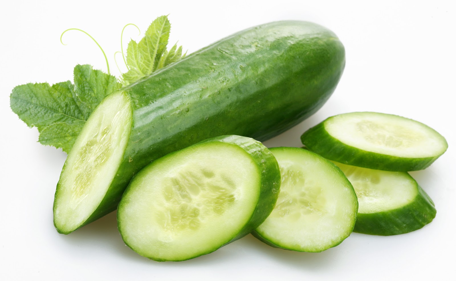Advantages of cucumber. Cultivation and care Advantages of cucumber. Cultivation and care