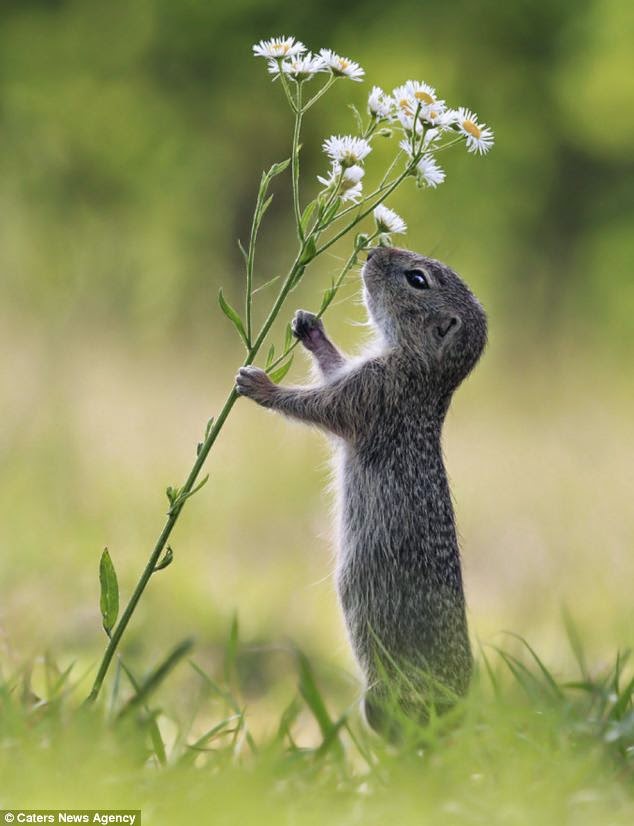 TAKE TIME TO SMELL THE FLOWERS