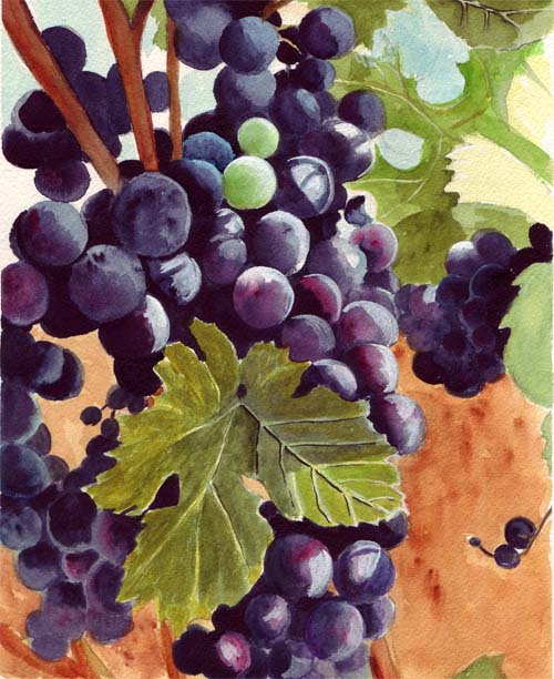 Bunny's Artwork Grapes Watercolor Painting