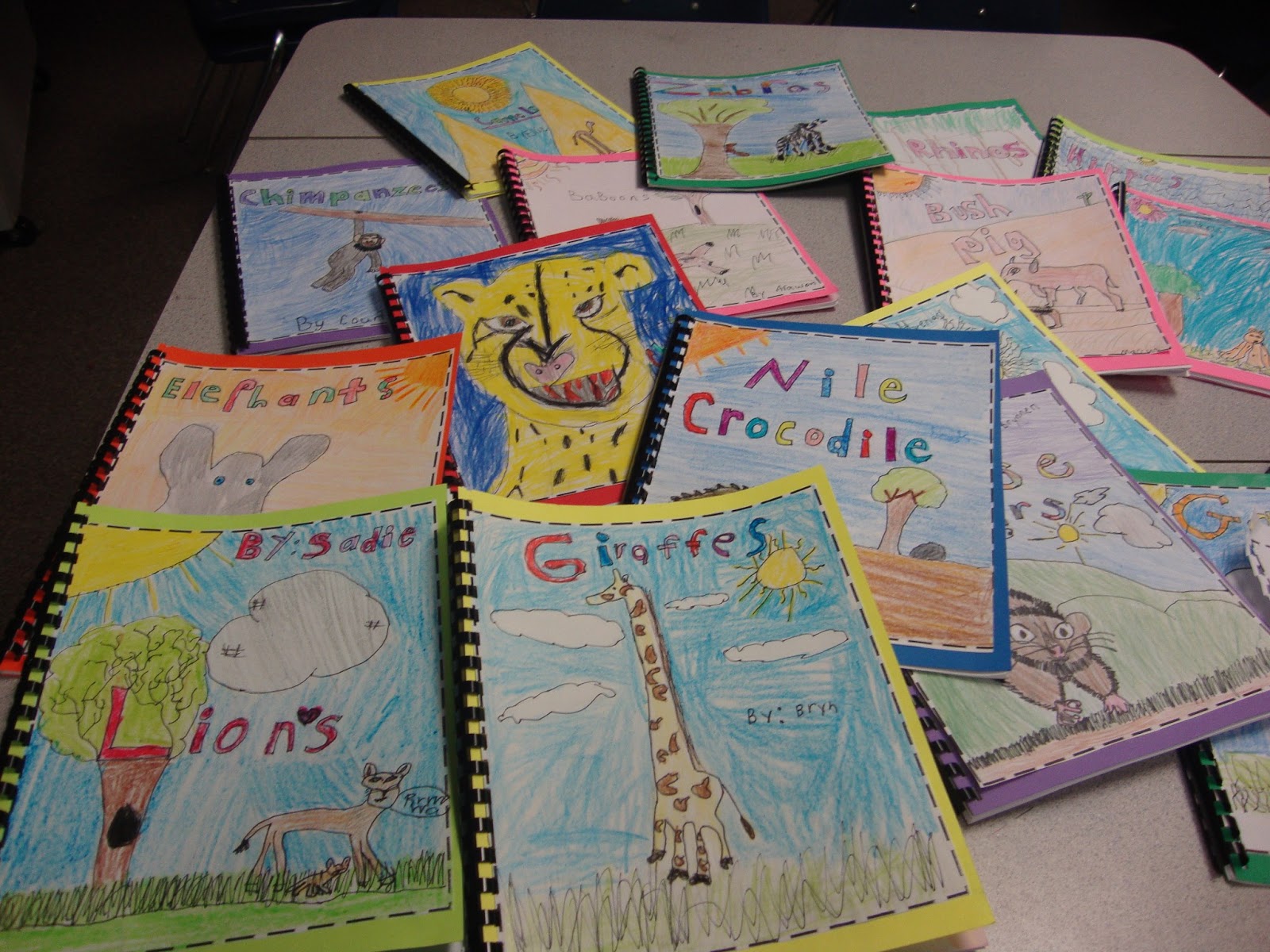 See Jane Teach Multiage Text Features Book