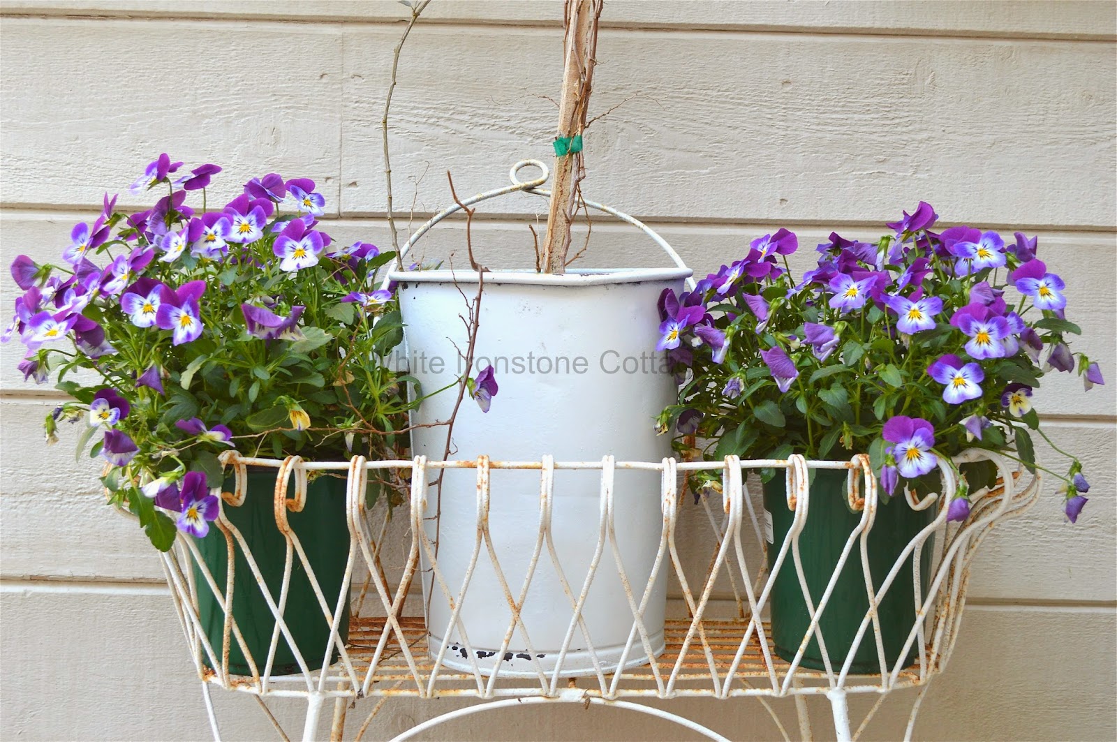 Adding color to your garden White Ironstone Cottage