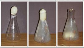 Egg-Sucked-into-Bottle DIY: DO MAKE AT TRY AND SEE YOURSELF THAT AN EGG CAN SUCK INTO BOTTLE