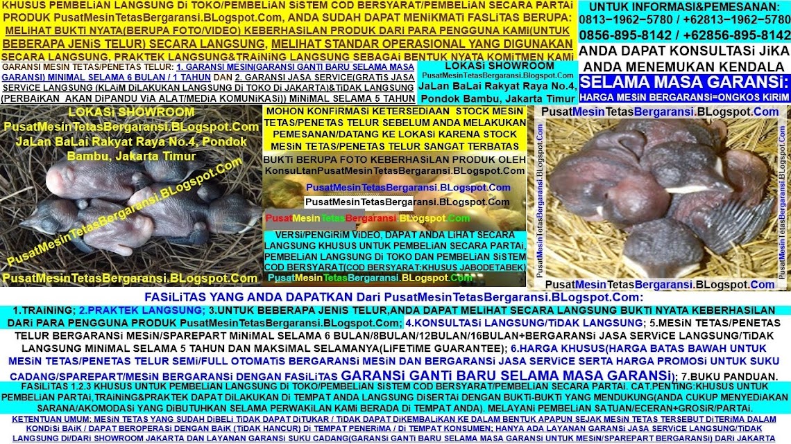 PUSAT/TEMPAT PENJUALMeSiN TETAS/PENETAS TELUR FULL OTOMATiS Di JAKARTA BERGARANSi/BERKUALiTAS MURAH
