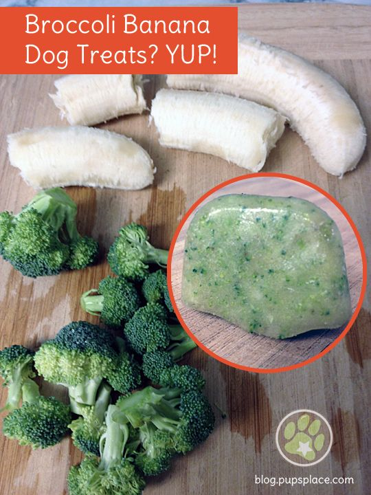 7 DIY Dog Treats To Try This Summer Do it yourself ideas and projects