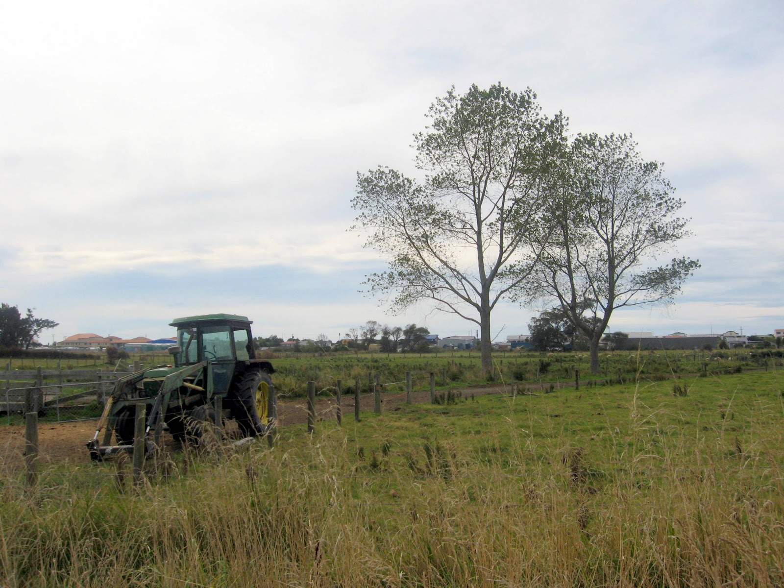 Kaikoura south island