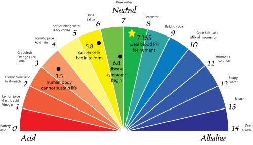 Health Is Wealth Chart