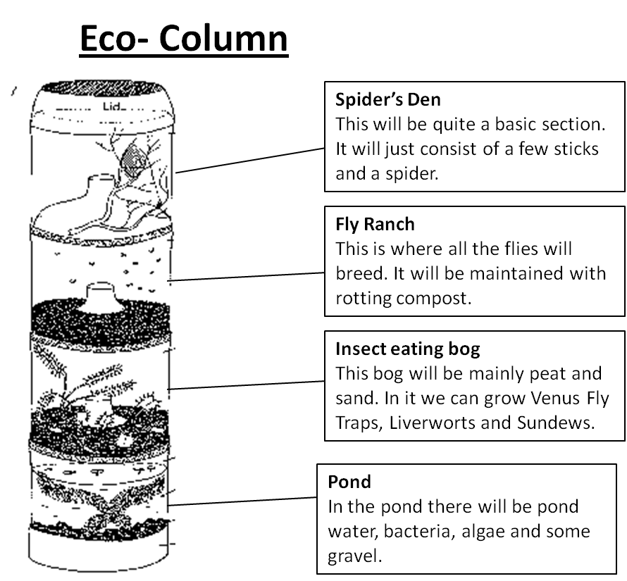 Ecology blog on an ecocolumn February 2013