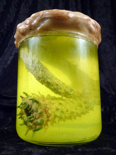 Propnomicon The Congo Specimen