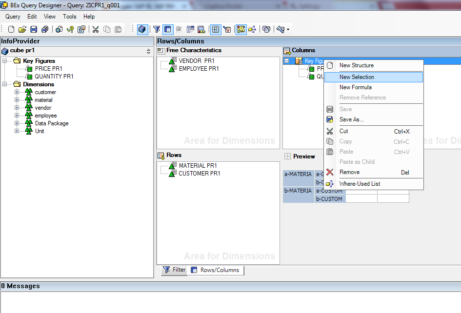 Sap Bi Sap Bw 13
