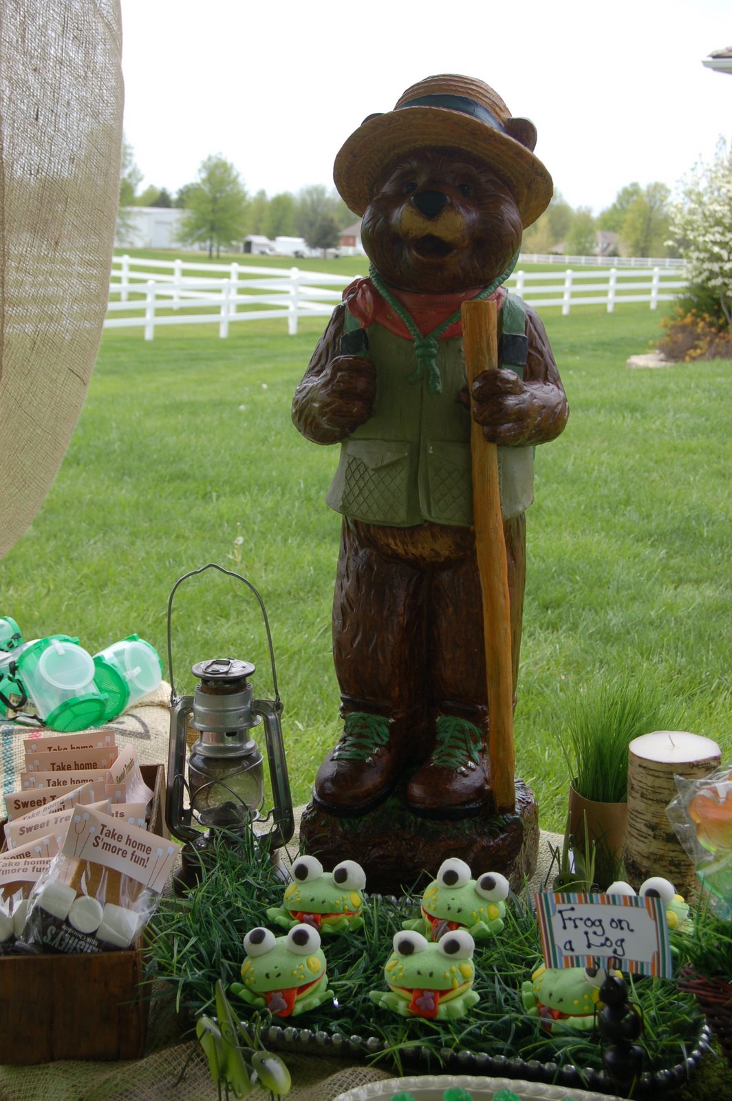 Maddyson's Lane: Campout Birthday Party