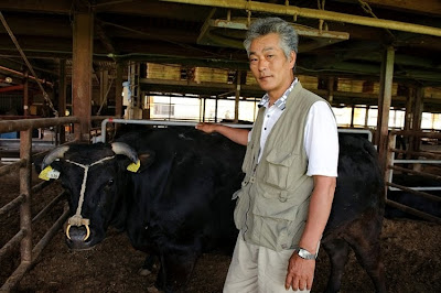 kobe wagyu carne buey kobe wagyu carne buey