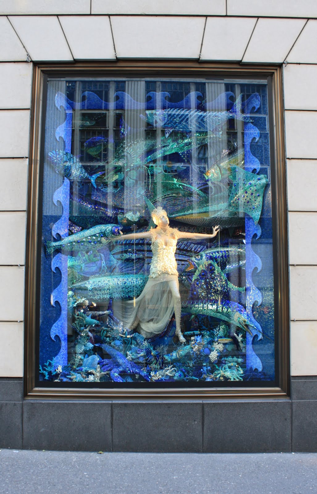 The Art of Window Display Sacramento Street