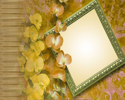 Flowers Frames WallpapersFree Download